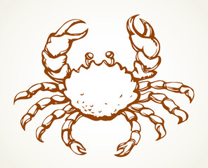Obraz premium Big sea crab. Vector drawing