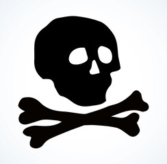 Skull and Bones. Vector drawing