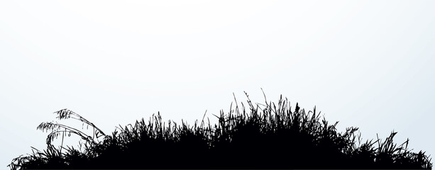 Fototapeta premium Silhouette of grass by the lake. Vector drawing