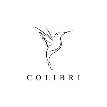 colibri logo design