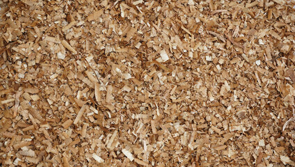 Wooden shavings and sawdust for background and textures.  Recycled material for wall, floor,...