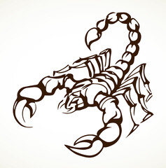 Dangerous insect. Scorpion. Vector drawing