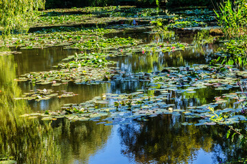 Obraz premium Picturesque pond in Giverny near Claude Monet building (famous French impressionist painter). GIVERNY, FRANCE.