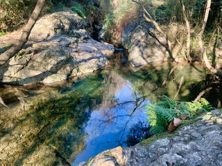 torrent in a European forest in the town of Canoves