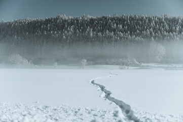 Winterlandschaft