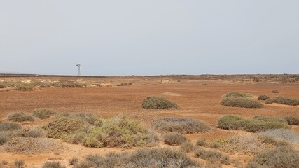 fuerteventura lobos dessert climate