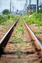 夏の線路