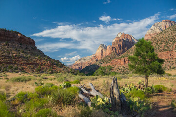 Zion National Park, Utah, USA
