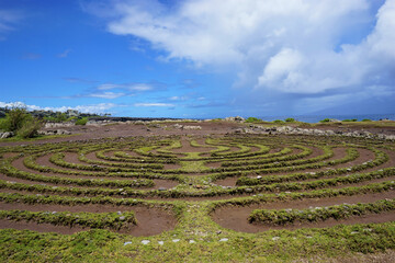 Makaluapuna Point aka Dragons teeth coastline rock formation in Maui island, Hawaii - マカルアプナ ポイント ドラゴンティース 海岸 マウイ ハワイ