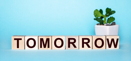 The word TOMORROW is written on wooden cubes near a flower in a pot on a light blue background