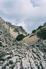 cloudy day in the mountains of the natural park of the ports, in tarragona (spain).