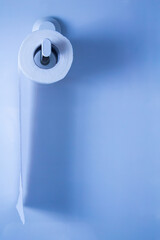 A Roll of Toilet Paper Hanging on a Toilet Paper Holder on white wall