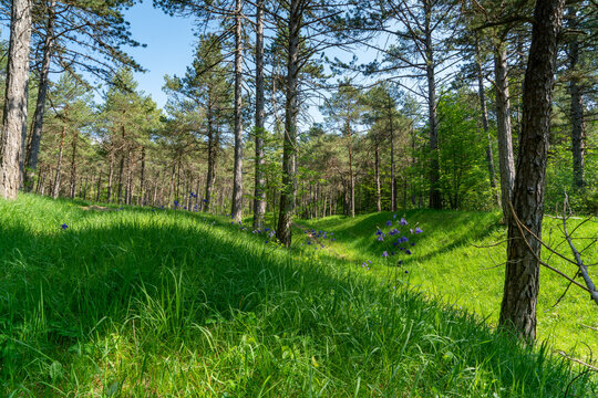 Naturschutzgebiet um den Heppenstein