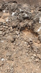 fuerteventura lobos dessert climate