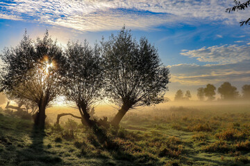 Foggy morning © Wioletta