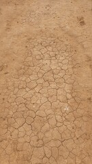 fuerteventura dessert climate