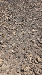 fuerteventura dessert climate