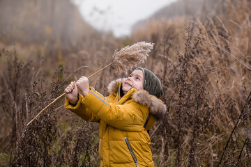 Portrait boy on background autumn dry grass. Pampas grass. child walks and collects autumn natural materials for crafts