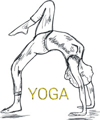 The girl is standing on her hands with her back bent in a yoga pose. Sketch with lines.