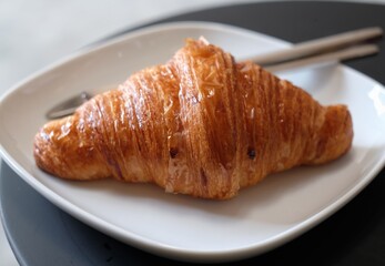 closeup butter croissant on white dish