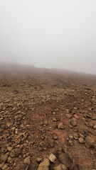 fuerteventura dessert 