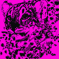 Animal print, leopard texture background