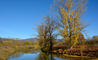 The stream Torrente Malina in the autumn landscape near the village of Moimacco close to Cividale del Friuli, Udine Province, Friuli-Venezia Giulia, north east Italy
