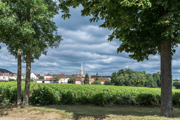Fototapeta na wymiar View over a vineyard in front of the village Pommard, France