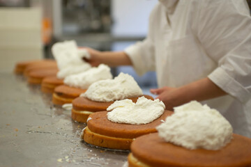 making cakes in a bakery workshop
