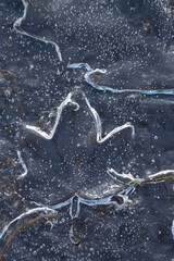 Abstract close up of frozen ice water in the winter