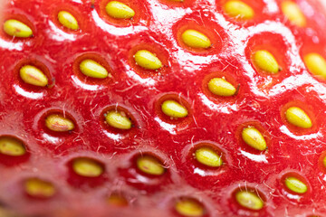 Juicy berry strawberry close-up. Macro shot of a fruit. Red-yellow photo.