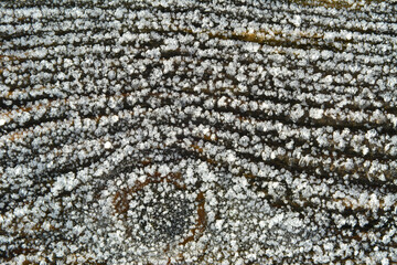 Empty copy space background of old weathered wooden planks with hoar frost ice snow on it