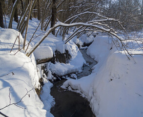 Stream in the winter forest.