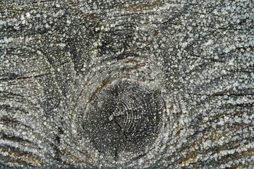 Fototapeta premium Empty copy space background of old weathered wooden planks with hoar frost ice snow on it