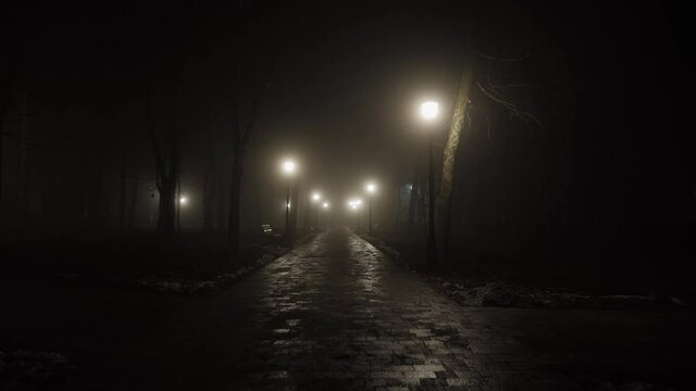 Night city scene, empty dark foggy park lit by lanterns at midnight, slow-motion shot