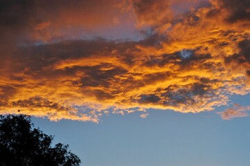 Unique sunset cloud formation, top of a tree in the foreground, giving the illusion that the photo is upside down.