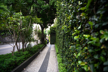   Rodrigo de Freitas Lagoon. Avenue Henrique Dodsworth. Moving transport and citizen