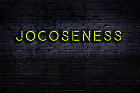 Night view of neon sign on brick wall with inscription jocoseness