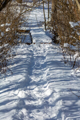 Winter Walking Bridge