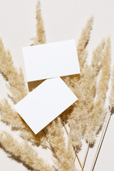 Mockup with blank paper business card and dried pampas grass over beige pastel background with trendy shadow and sunlight. Minimal business brand template. Flat lay, top view. © magic_cinema