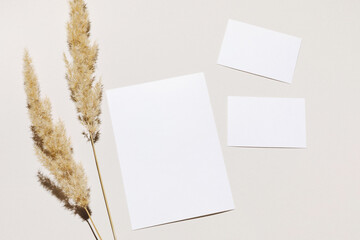 Mockup with blank paper sheet card and business card, dried pampas grass over beige pastel...
