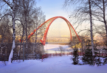 Bugrinsky Bridge in winter. Arched cable-stayed road bridge, view from the snow-covered Birch Grove Park in Novosibirsk