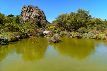 Fototapeta premium strange green lake with rocks and plants on the island of Gran Canaria. Spain.