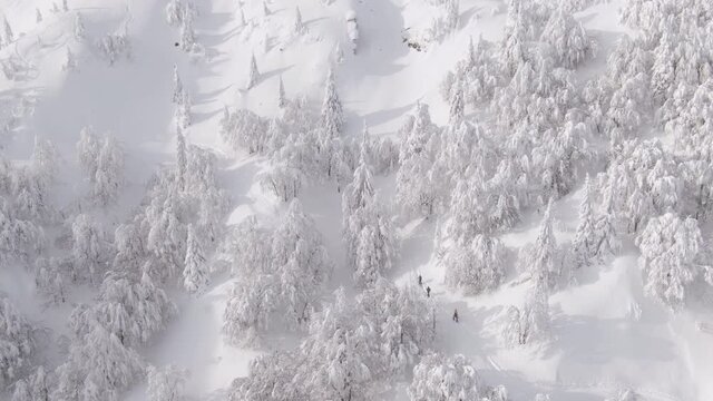 DRONE: Spectacular aerial view of pristine white mountain landscape surrounding a small group of ski tourers hiking along an empty trail. Fit tourists set out on a splitboarding trip in idyllic Alps.