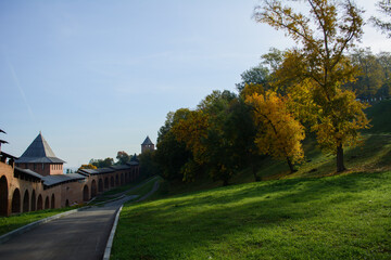 Autumn trees in the park