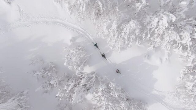 DRONE, TOP DOWN: Ski tourers hike along an empty trail leading up a snowy mountain. Flying above a small group of active tourists walking along a hiking trail during a splitboarding trip to Bohinj.