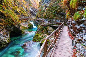 Famous and beloved Vintgar Gorge canyon with wooden path in beautiful autumn colors near Bled Lake of Triglav National Park - 411205156