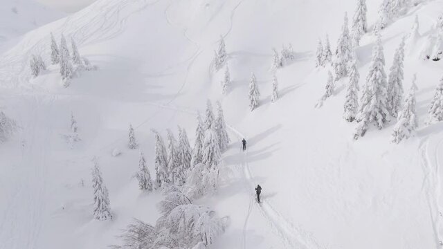 AERIAL: Spectacular flying view of the pristine white wintry mountain landscape surrounding two ski tourers. Active tourists on splitboarding trip trek along the side of a slope covered in powder snow