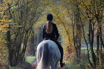 girl riding a horse, hacking out in autumn forest