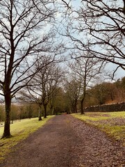 Obraz premium autumn in the park